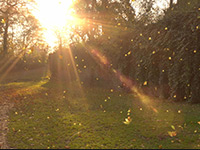 360-degree Photo Experiment