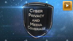 Robinson Insurance Brokers: Cyber Privacy and Media Coverage
